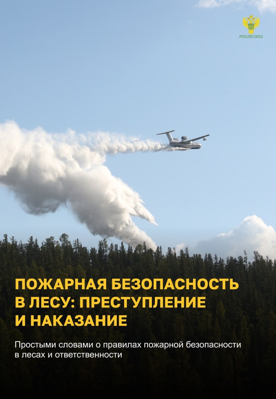 OcQYSMTnYjUbnai_6HLW6_BUu2iRPABt8--emG4dPxHFMy-NEK3heL_4XTmR28CaFGH_jxD3XCg8w1D4wi8BDBZo.jpg