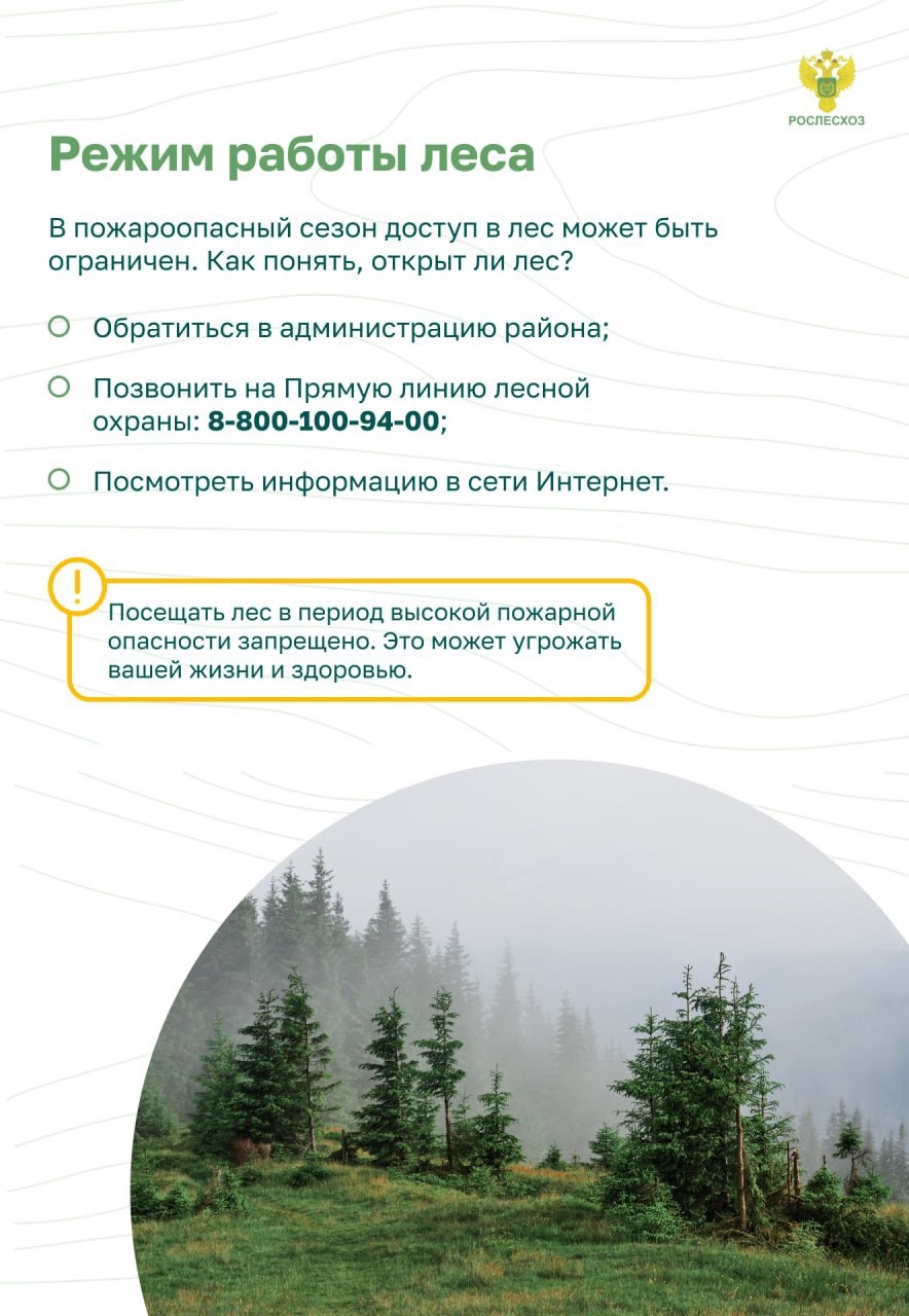 Qshoeb0_ujHkFimBFJWNkUbiYyZFPeEhzKIShDeQXOoF2d_8LPQm4G1eR03D2CiPTZDLYx_5A2r37lFdn0SAbKfL.jpg