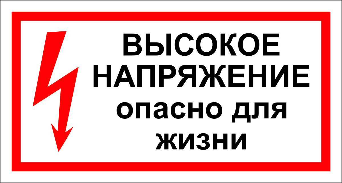 1021869737.jpg